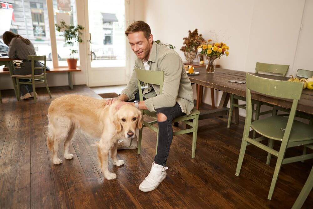 How Professional Dog Boarding Reduces Separation Anxiety